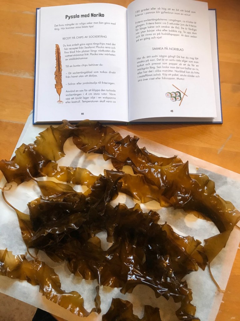 Sockertång till tångchips