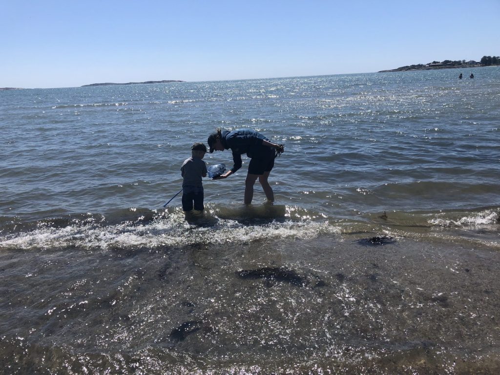 Tångsafari vid stranden