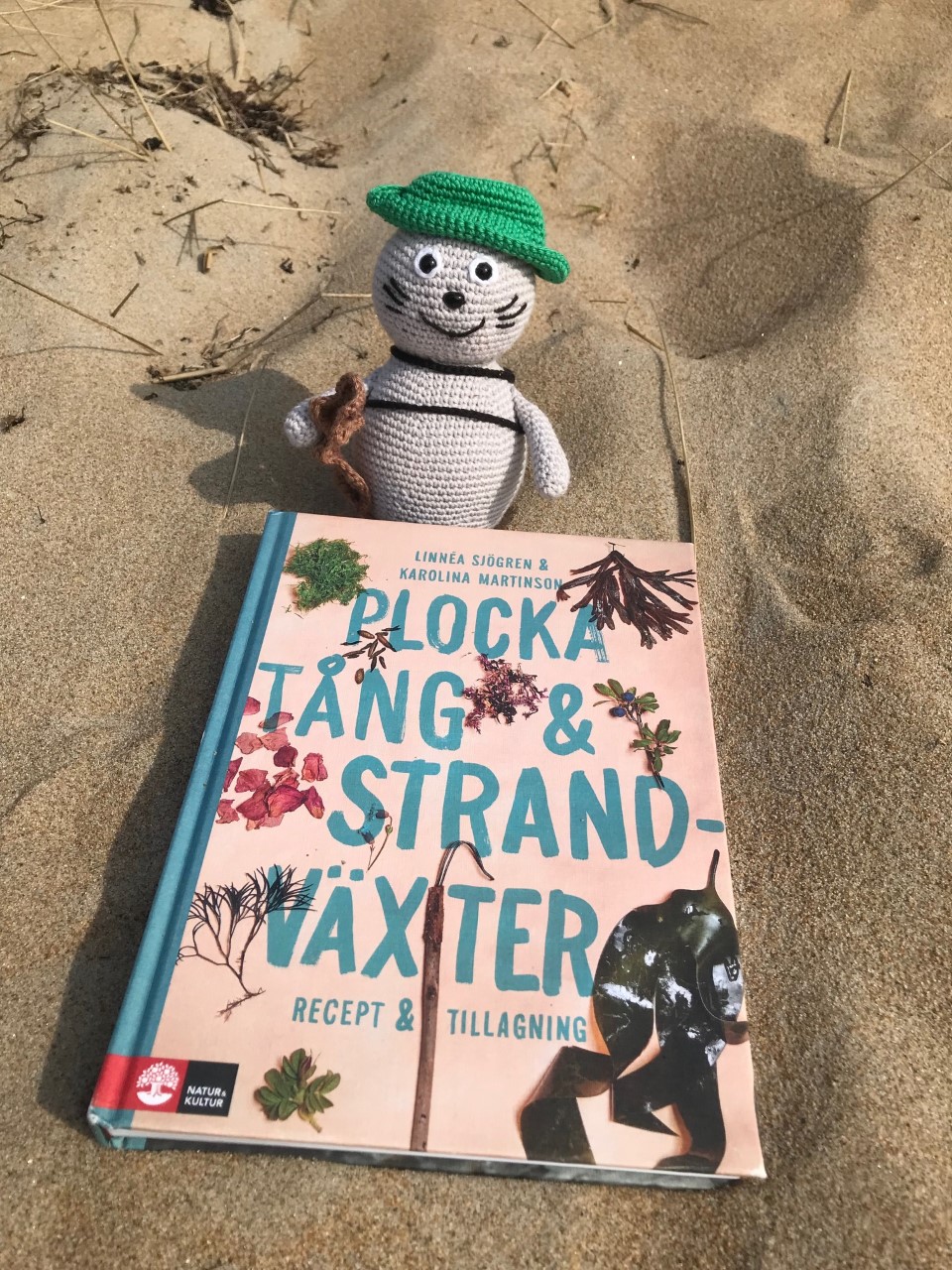 Noriko läser Plocka tång & strandväxter